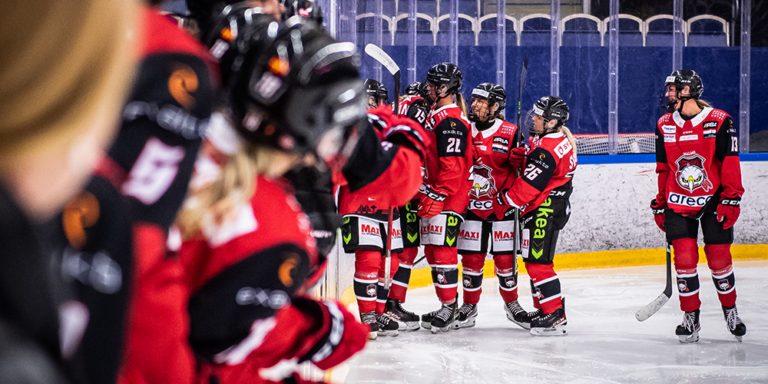 Malmö Redhawks planerar för att bygga upp ett mentorprogram