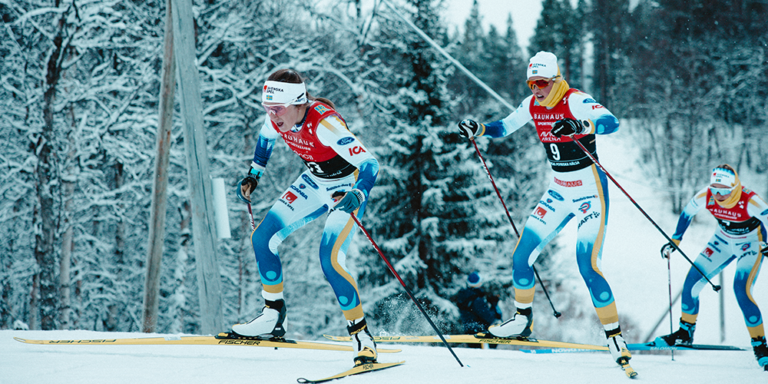 Inventering av hur det ser ut på RIG/NIU vad gäller fördelning av aktiva bland de anställda tränarna